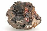 Small, Red Vanadinite Crystals on Manganese Oxide - Morocco #211988-1